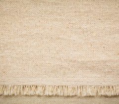 Duck Fabric