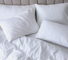 Pillow Size