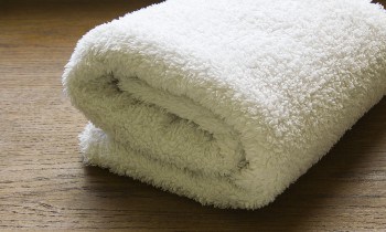Wash Sherpa Blanket