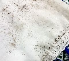 Mold on Clothes