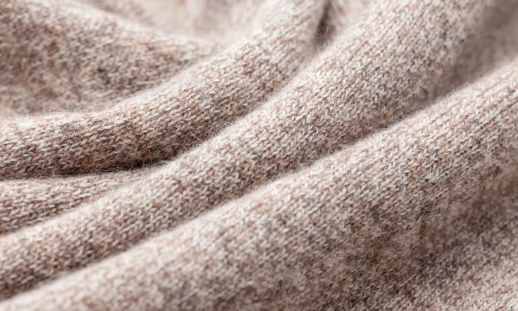 Fleece vs wool